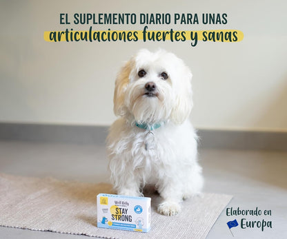 Wolf Belly Stay Strong Calcio para Perros y Gatos Suplemento Dieta BARF 30 comp