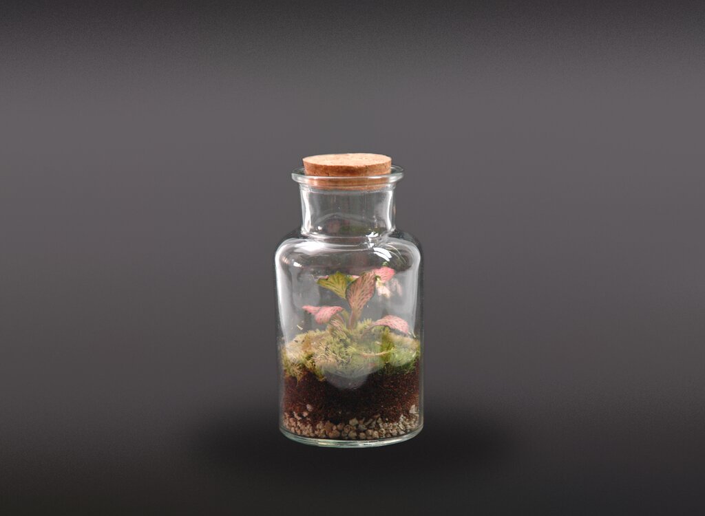 Nanogarden Terrario Bottle Fit Min 13x7cm