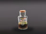 Nanogarden Terrario Bottle Fit Min 13x7cm