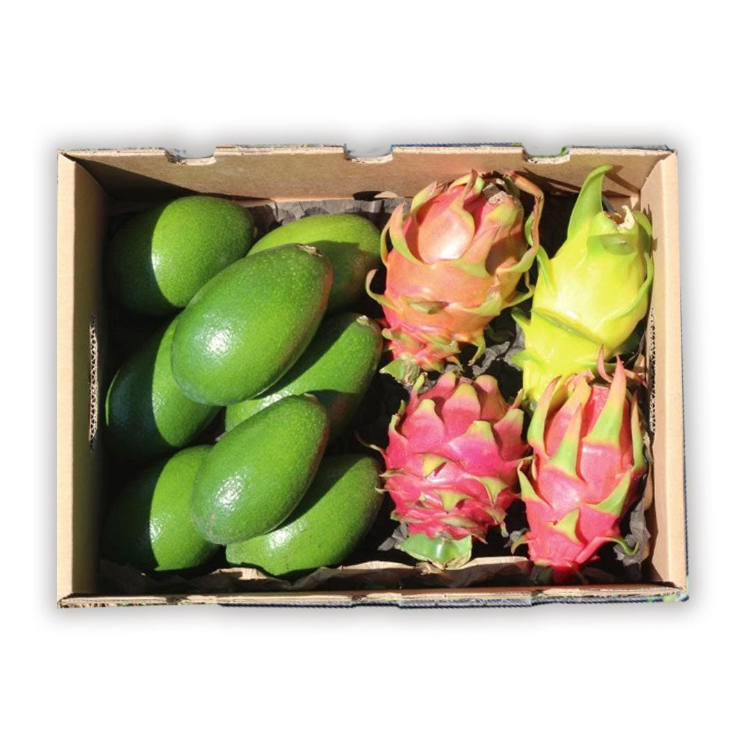 Caja 4kg Mix Aguacates De Piel Lisa Y Pitahaya Rosa_0