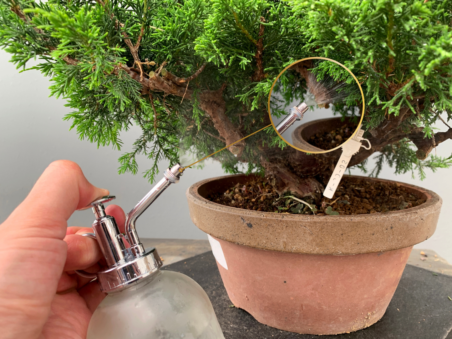 Vaporizador De Cristal Para Bonsái 250 mm