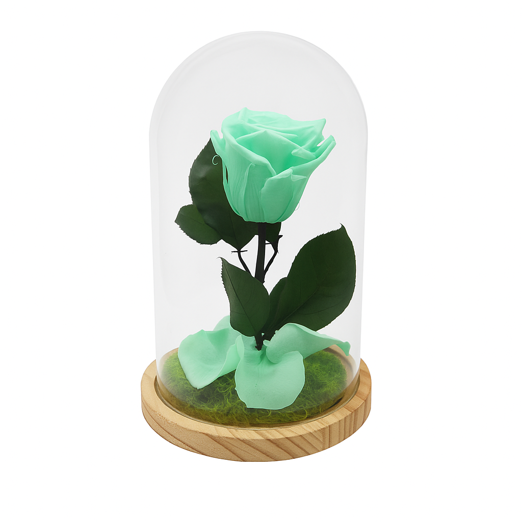 Mundo Eterno Rosa En Cúpula Verde Menta 12x20cm