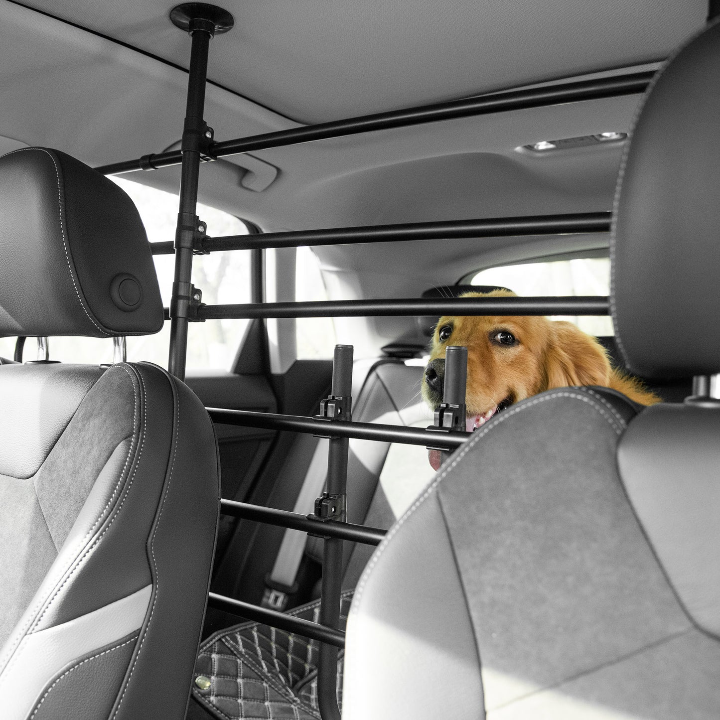 Pawhut Separador De Coche Para Perros Ajustable En Ancho Y Altura Para Maletero_1