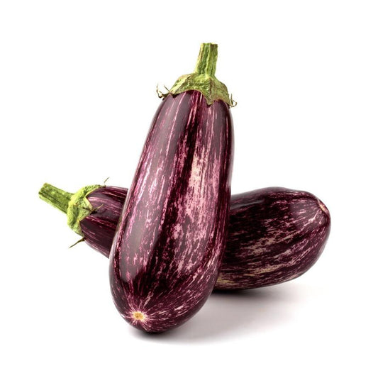 Plantón de Berenjena Listada 6 uds. Gama Tradicional