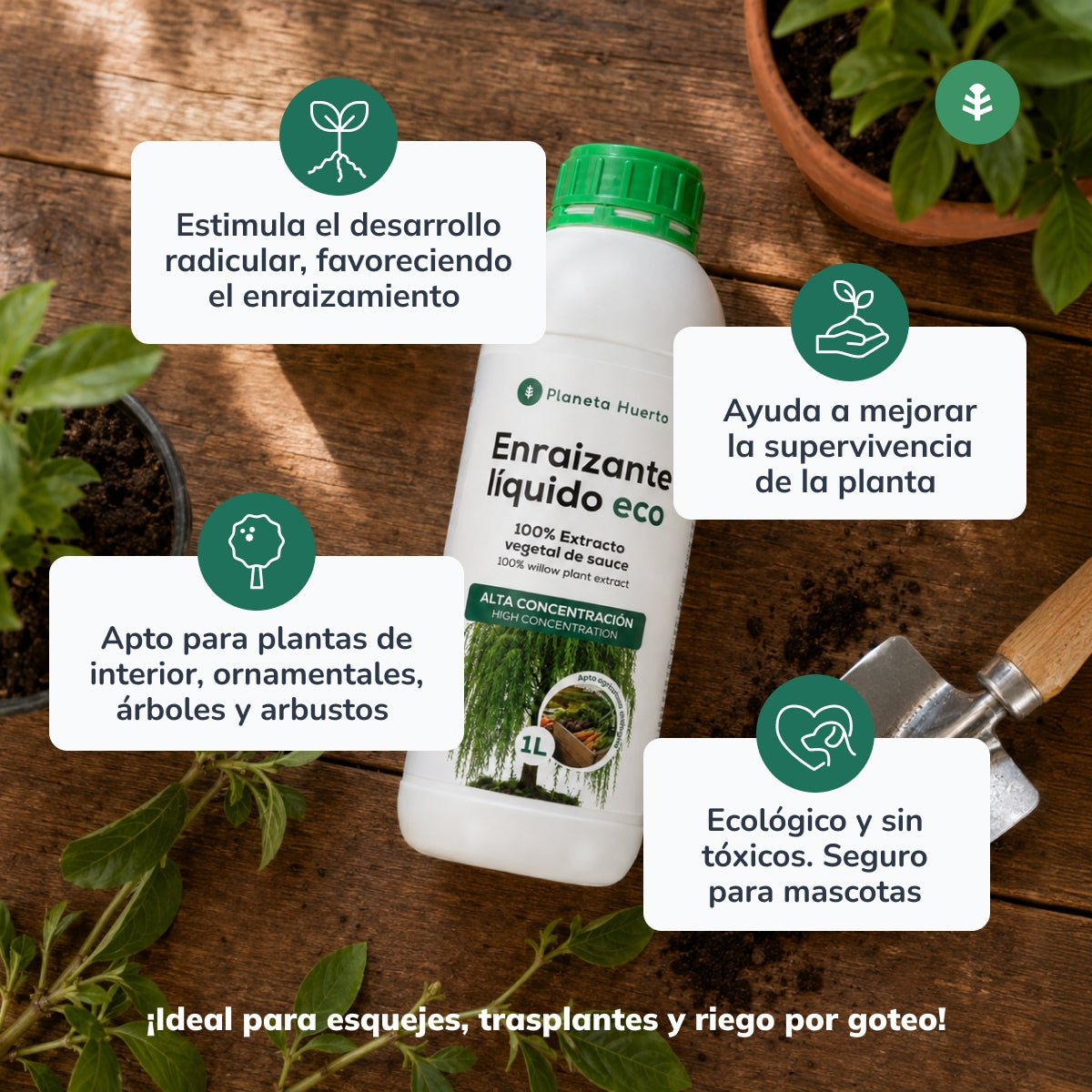 Pack "Raíces fuertes para el Otoño"