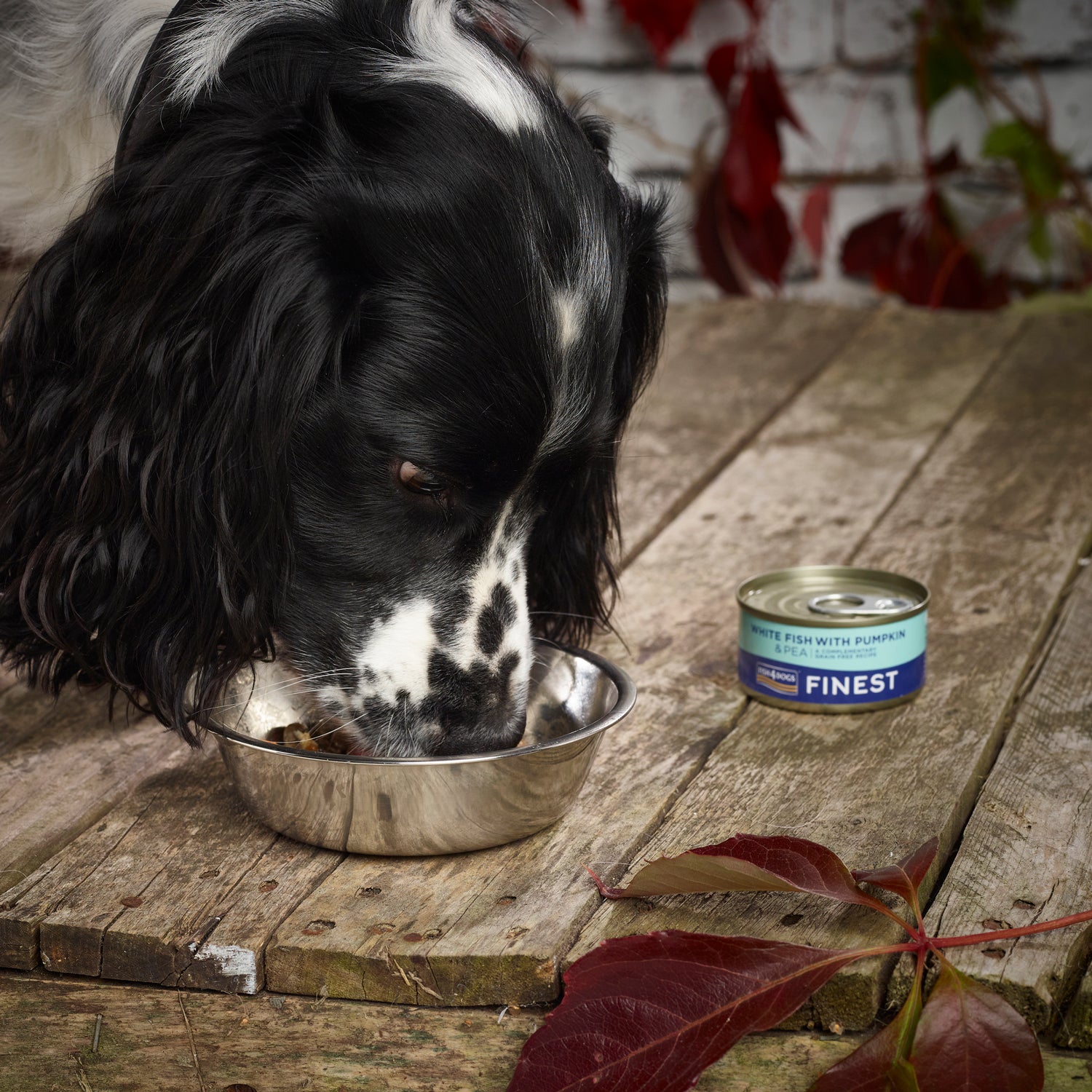 Fish4dogs Comida Húmeda Para Perro – Pescado, Calabaza Y Guisantes 85 G (pack De 12)_4