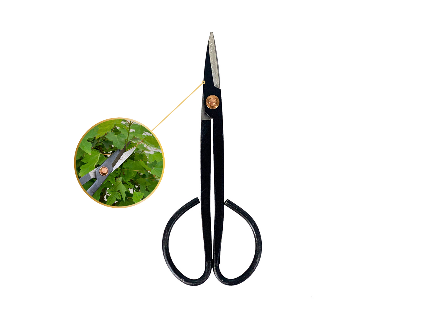 Kit Básico De Mantenimiento Para Bonsái_2