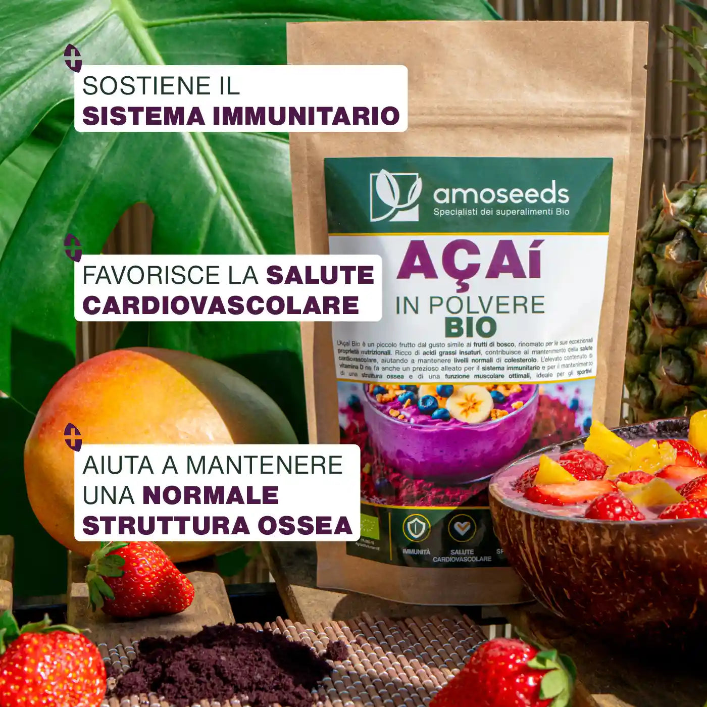 Açaí En Polvo Bio 100g_2