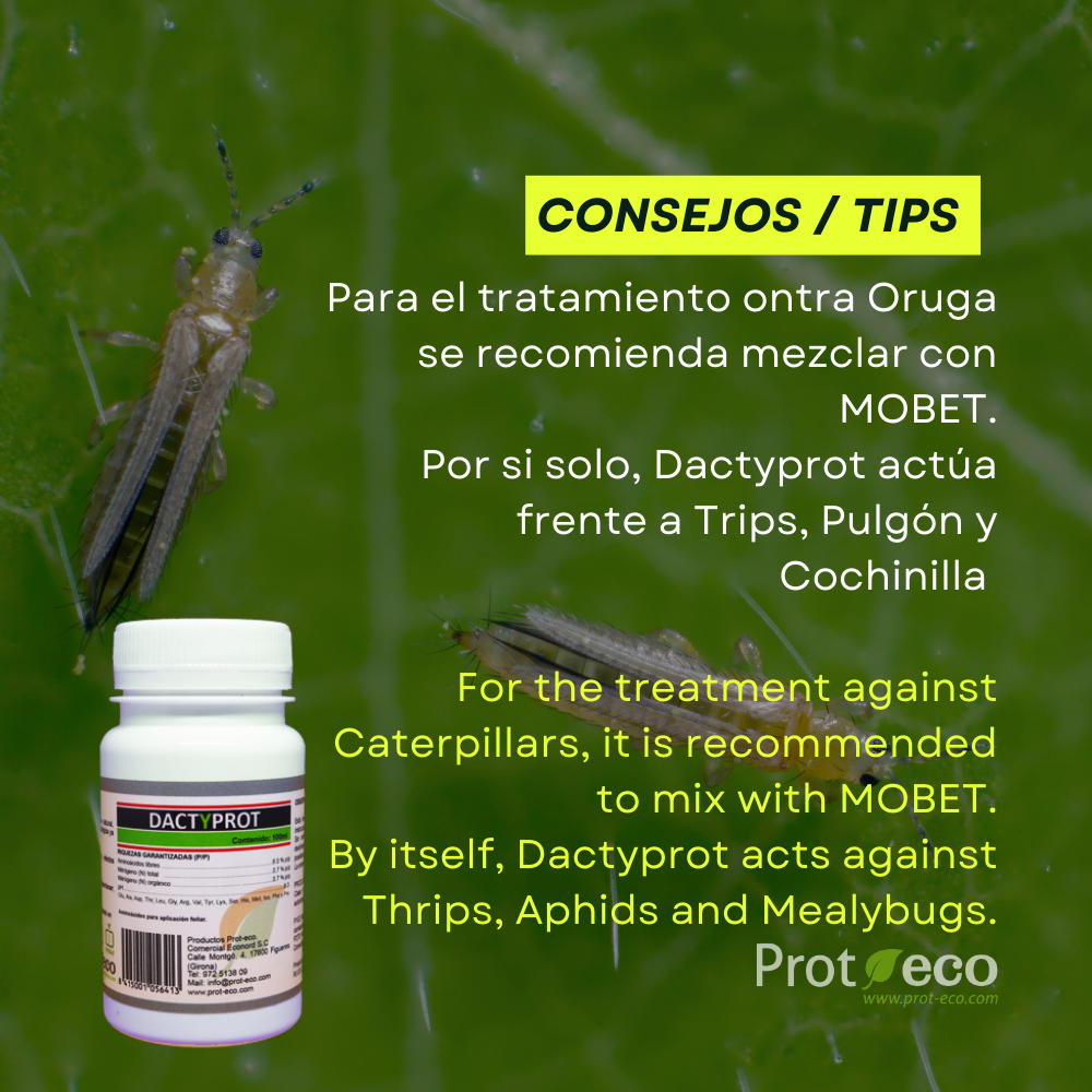 Dactyprot Prot-eco 100 Ml – Insecticida Ecológico Eficaz Contra Orugas, Cochinilla Y Otros Insectos_2