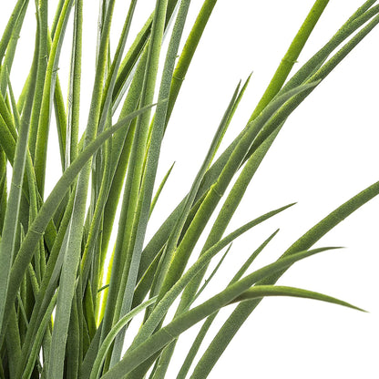 Maceta Decorativa Trenzada De Hojas De Jacinto Y Planta Decorativa_2