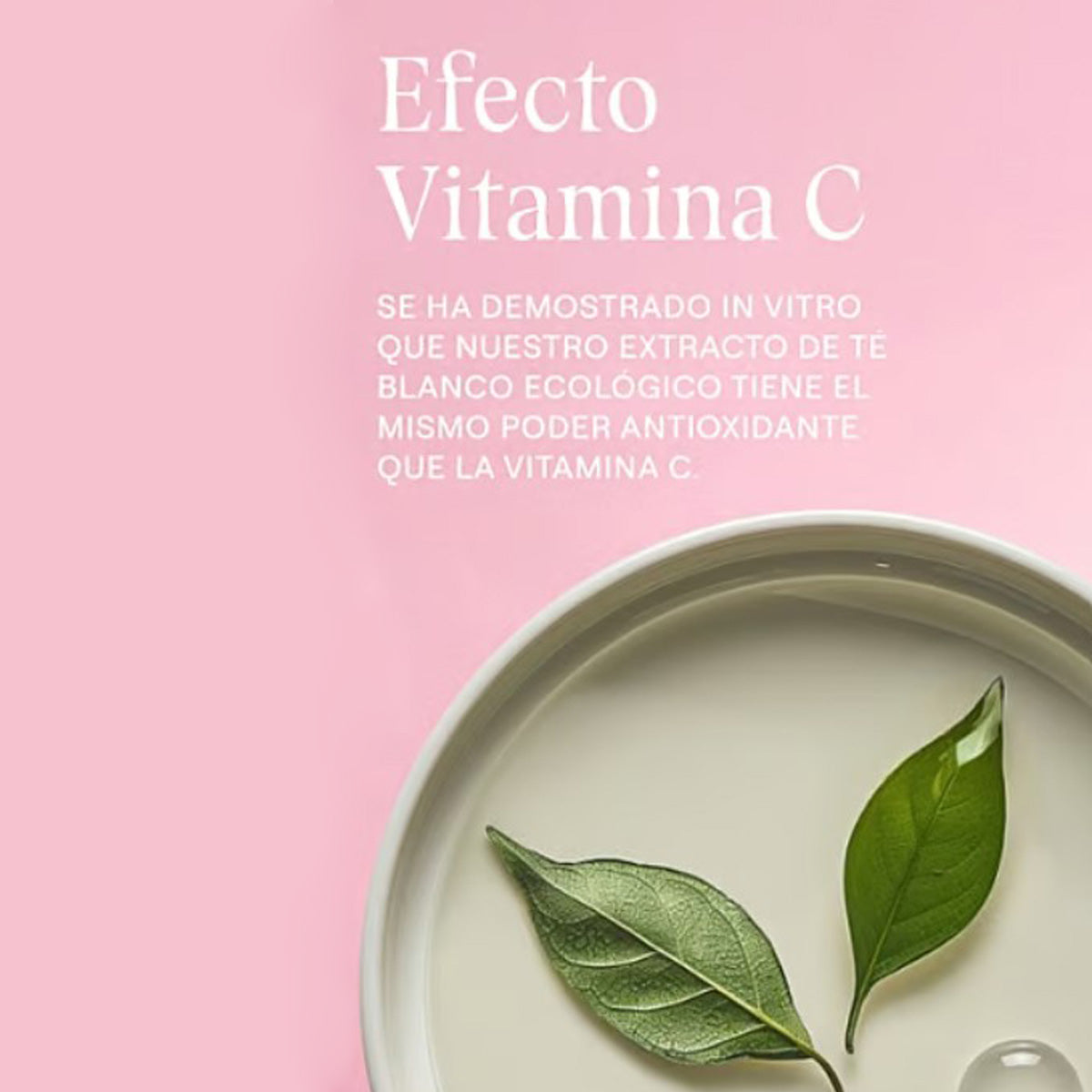 Contorno de Ojos Alisante de Rosa Mosqueta y Té Blanco, Weleda, 12ml