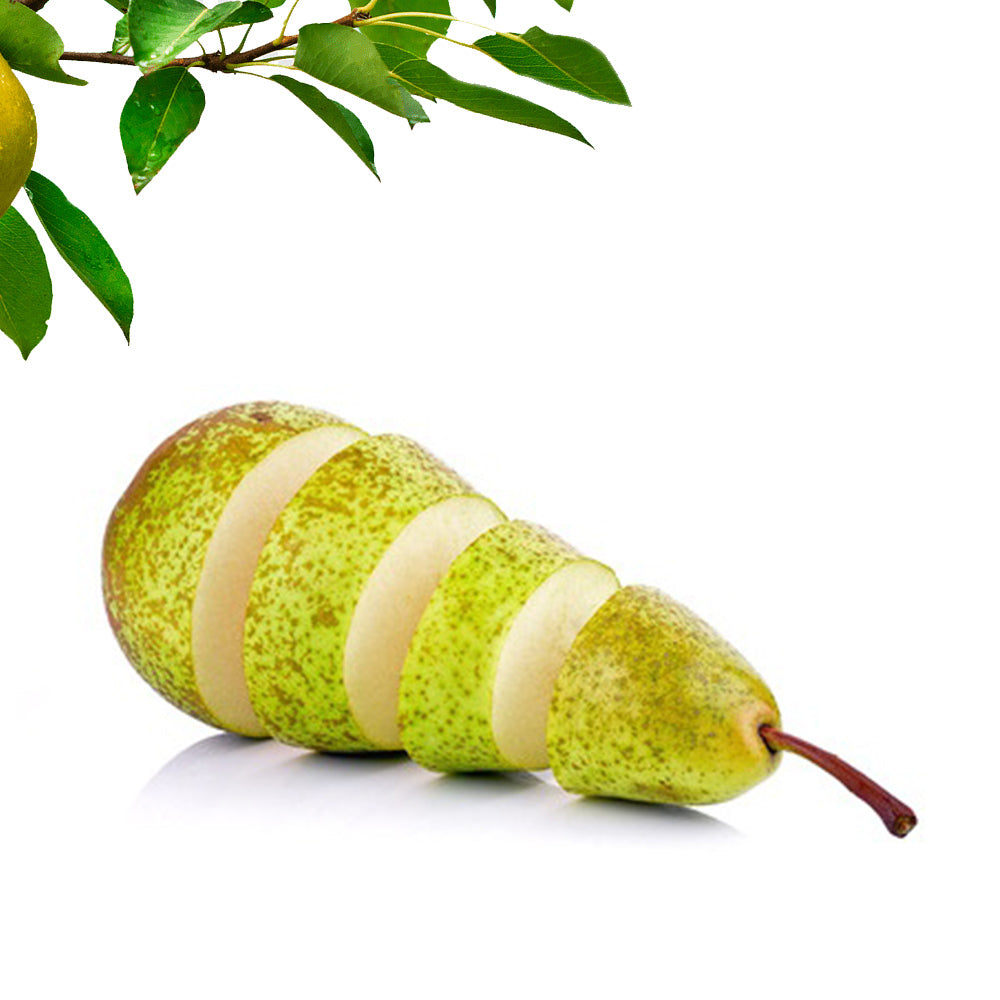 Pera Conferencia Del Bierzo. Grande. Caja 10 Kg