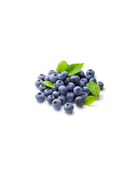 Arándano Bio - Tarrina 125g_0