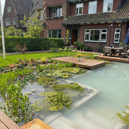Pond Care - Set Mantenimiento Hasta 20.000l - Algas Lodo Y Turbidez_3