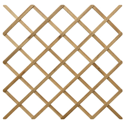 Celosia De Madera Extensible Trelliwood 1x2 M Nortene_2