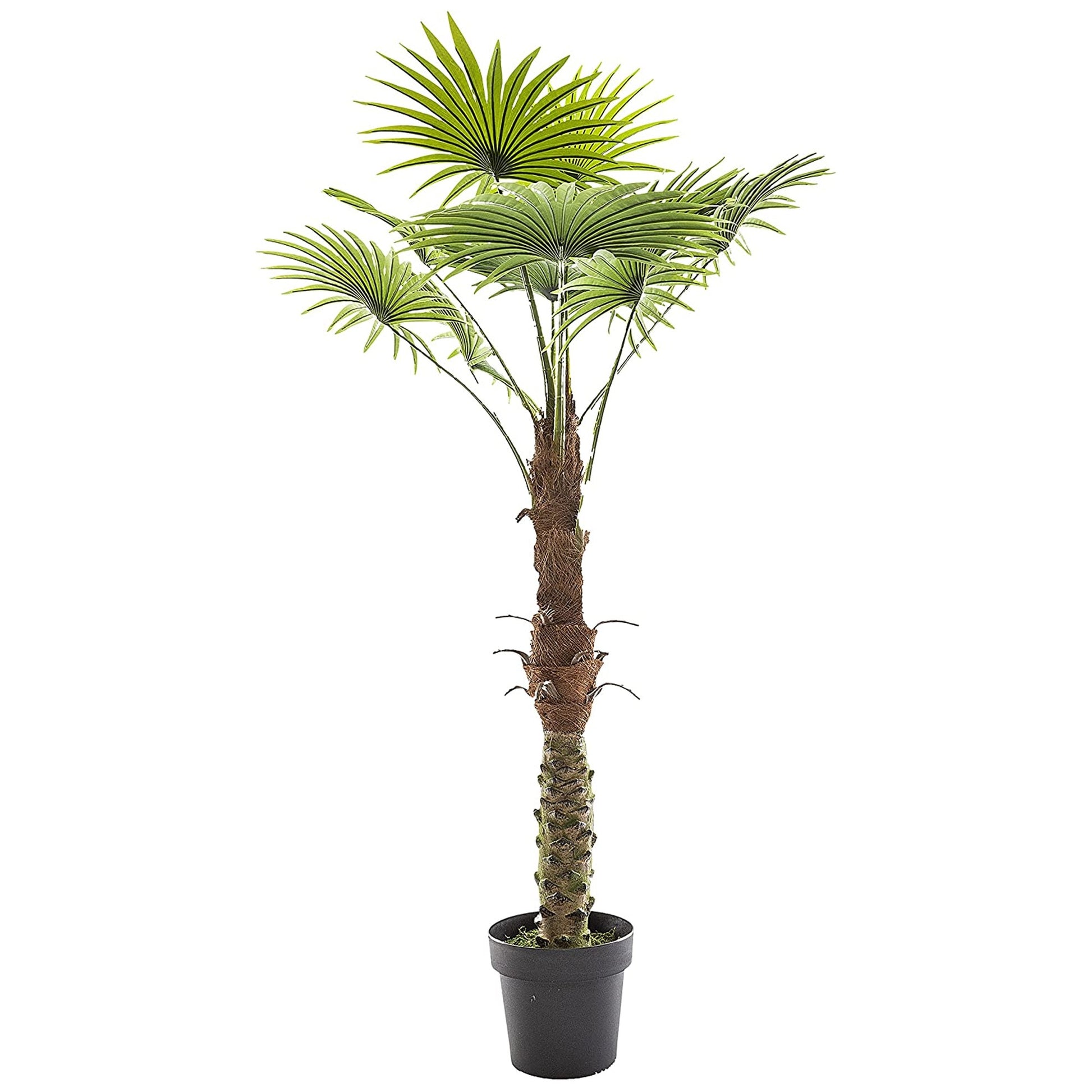 Planta Decorativa Tronco De Palmera_2