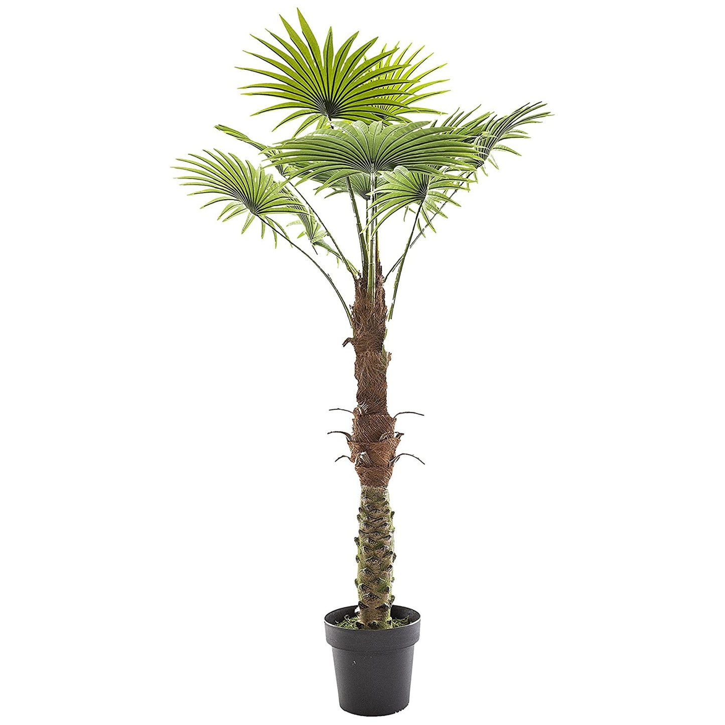 Planta Decorativa Tronco De Palmera_2