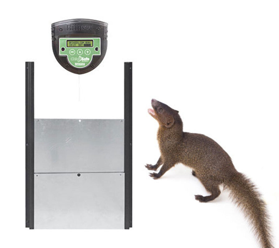 Kit puerta automática Brinsea Chicksafe Advance. Motor, puerta de aluminio y programación por reloj o célula._0