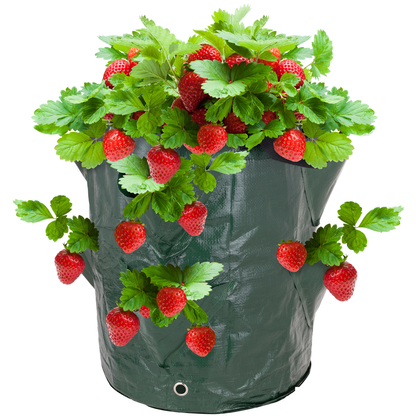 Bolsas De Cultivo Para Jardín 35 X 45 Cm 3 Unidades_2