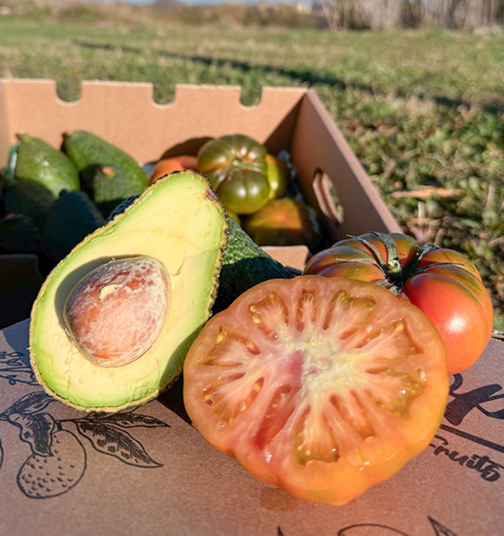 Caja 4kg Mix Aguacates Hass Y Tomate Raf | 2kg De Cada Fruta Tropitop_2