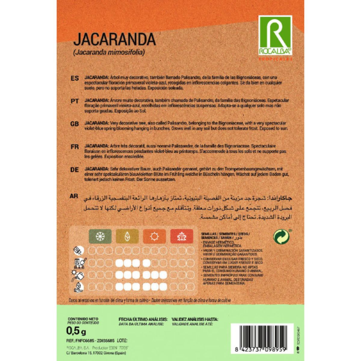 Semillas de Jacaranda Jacaranda mimosifolia