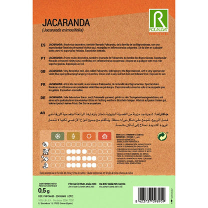 Semillas de Jacaranda Jacaranda mimosifolia