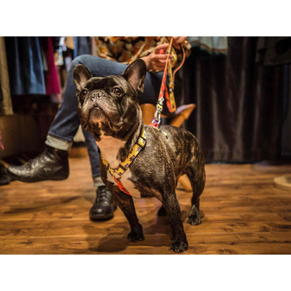 Arnés clásico para perro SUPERDOG Dukier L