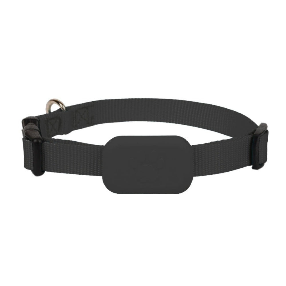 Intimeg Collar Gps Para Mascotas_1