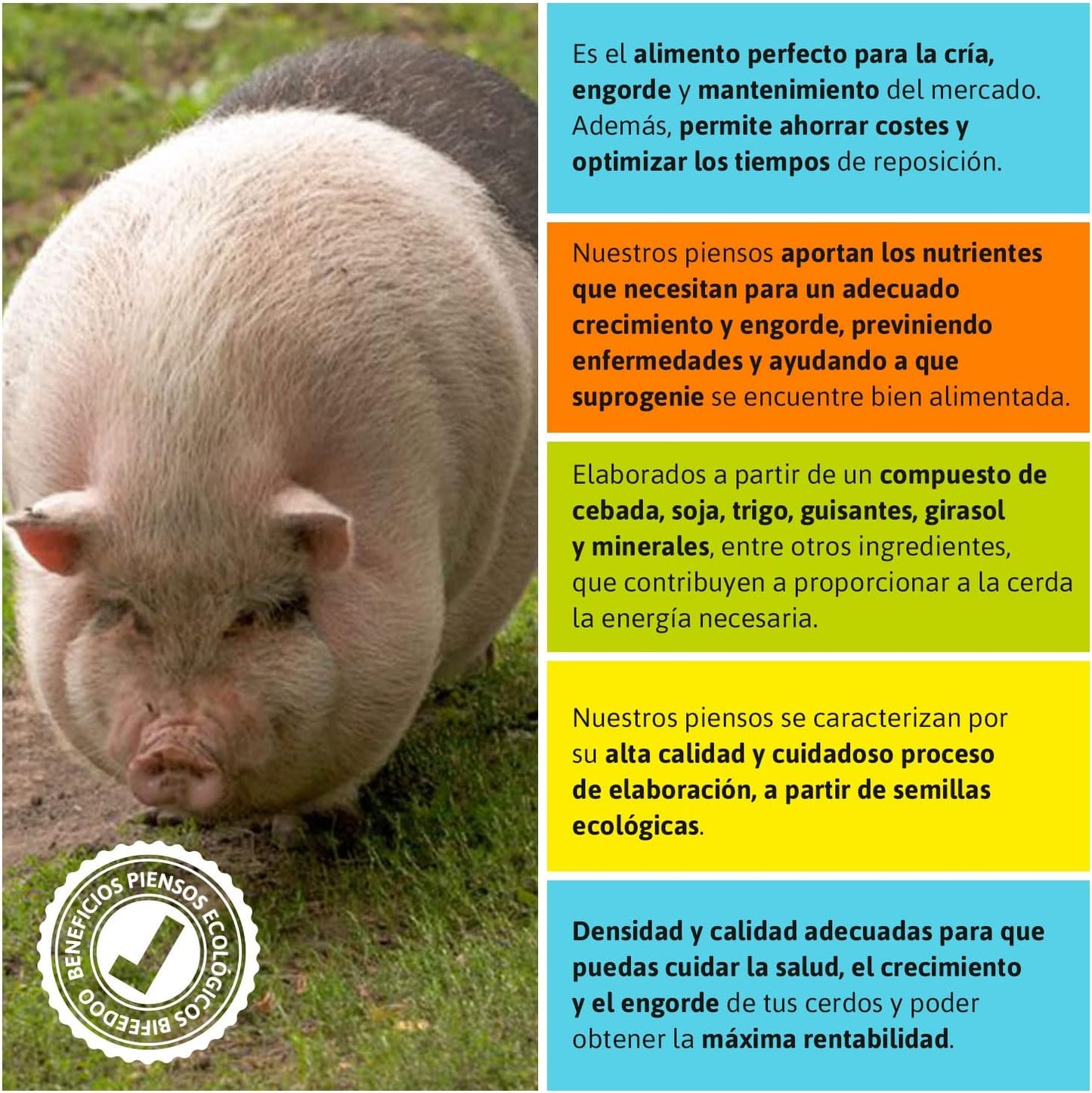 Pienso ECOLÓGICO para Cerdas Gestantes 20kg – Alimentación Natural y Equilibrada. Nutrición Óptima para la Gestación_3