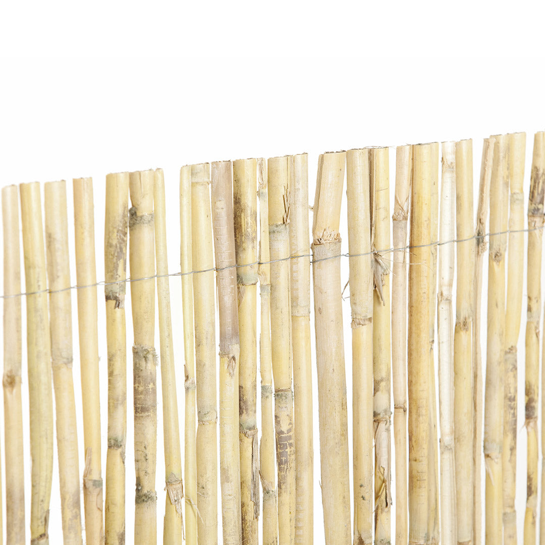 Cañizo Media Caña Natural - Tejido Duradero 2x5 M / Multicolor_1