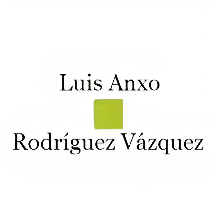 Vino Blanco - Viña De Martín Os Pasás 2020 - Luis Anxo Rodriguez - Ribeiro_2