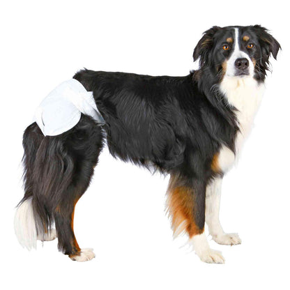 Trixie 12 Pañales perros hembra ultra absorbentes S-M