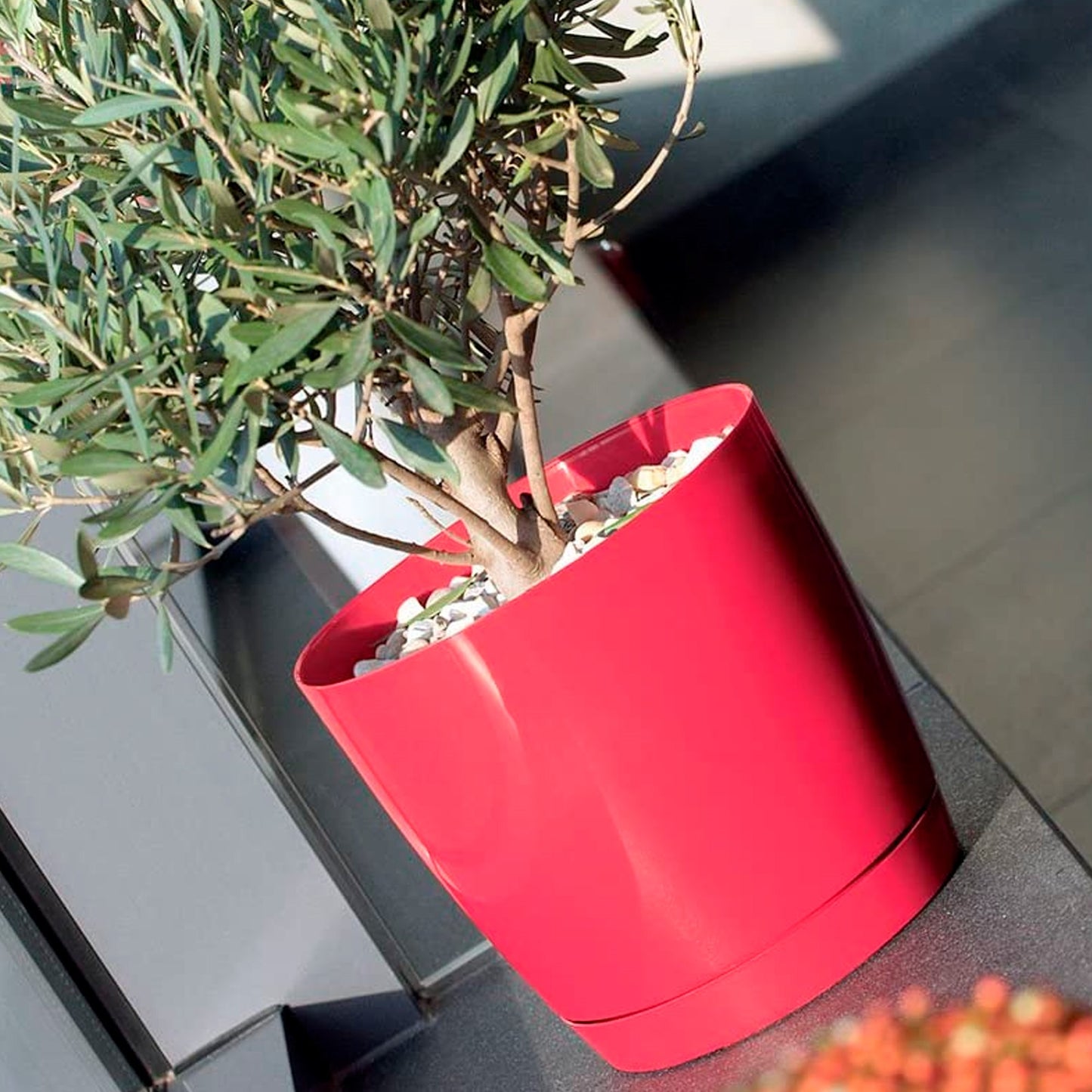 Maceta Redonda De Plastico Coubi Round P En Color Blanco 24 (largo) X 24 (ancho) X 22 (altura) Cm_2