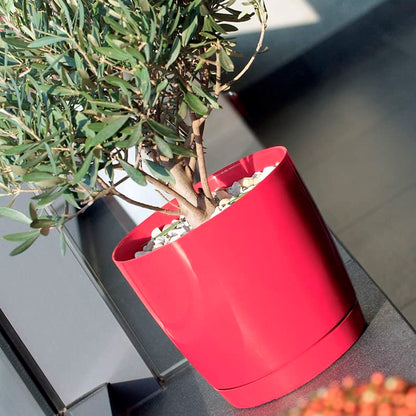 Maceta Redonda De Plastico Coubi Round P En Color Blanco 24 (largo) X 24 (ancho) X 22 (altura) Cm_2