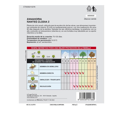 Semillas Zanahoria Nantes Temprana (7 Gramos). Semillas Verduras, Horticultura, Horticola, Semillas Huerto.