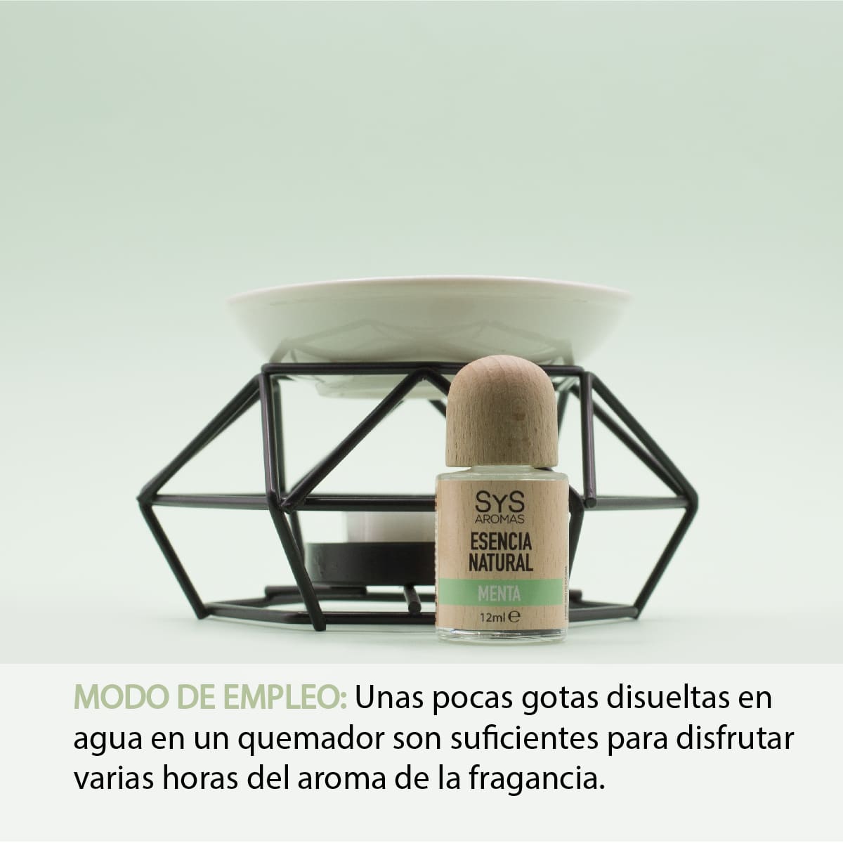 Esencia Natural Menta SYS Aromas 12 ml | Aroma Fresco y Herbal | Para Quemadores y Humidificadores_1