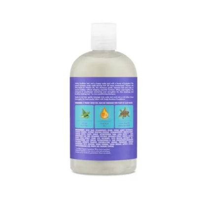 Shea Moisture Aloe Butter Scalp Moisture Champú 384ml_1