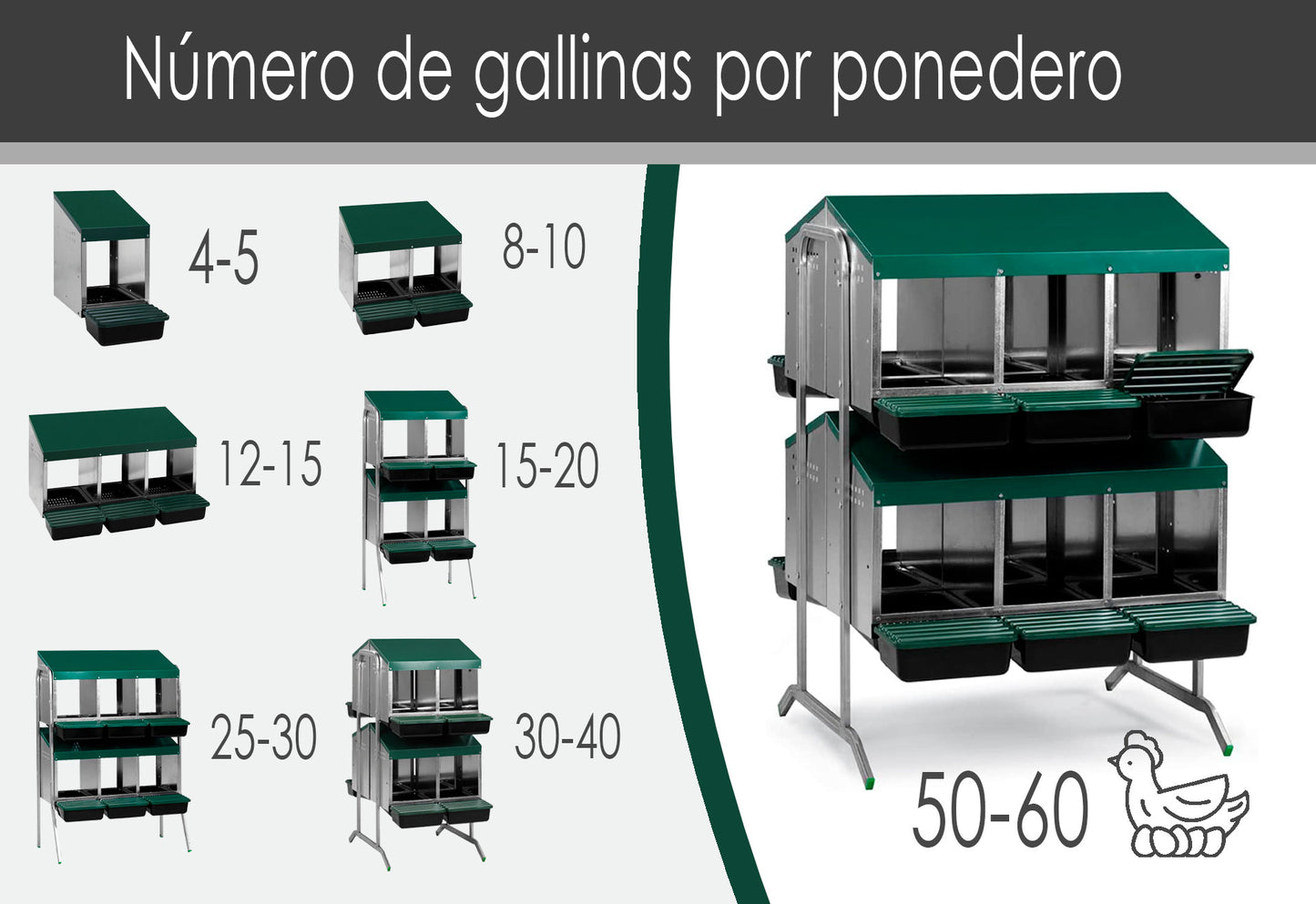 Ponedero Para Gallinas Con Cajón Escamoteador - 12 Huecos_1