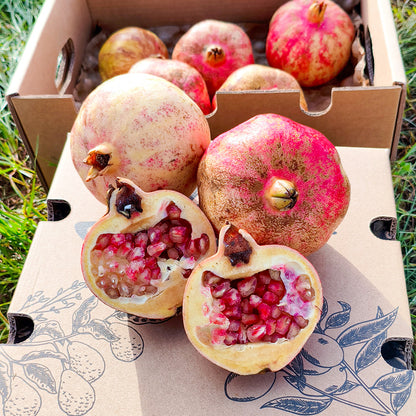 Granada Fruta Fresca Directa Del Campo - Caja 2kg_5