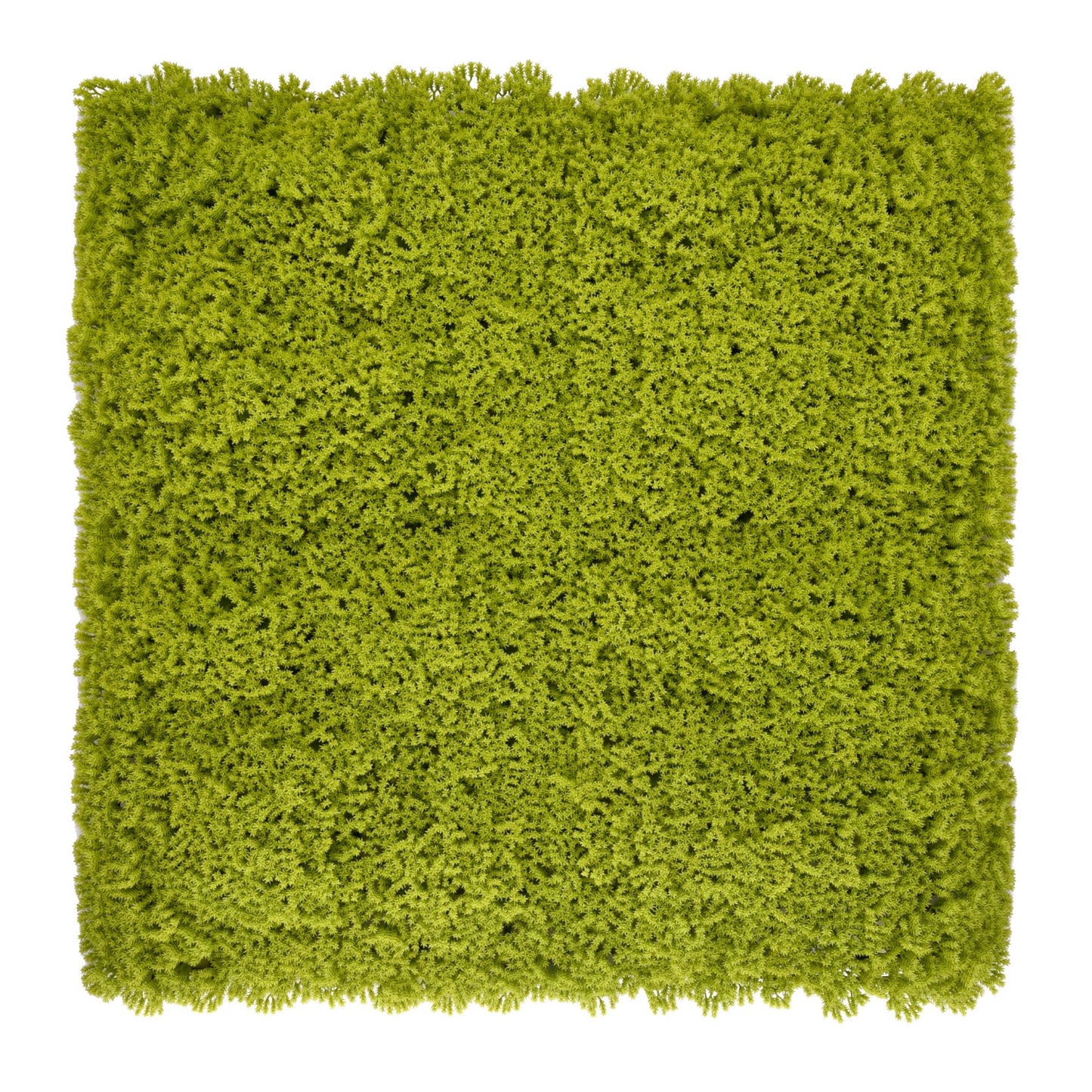 Bonerva | Jardín Vertical Indonesia | Pack 4 Piezas 50x50cm_0