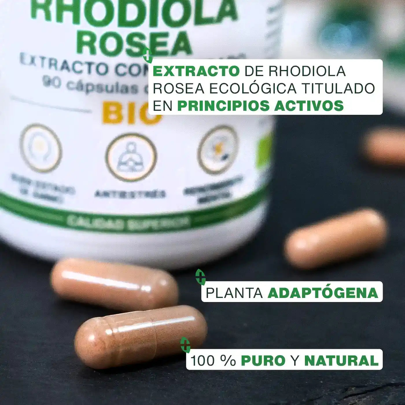 Rhodiola Rosea Bio, Extracto Concentrado | 90 Cápsulas_2
