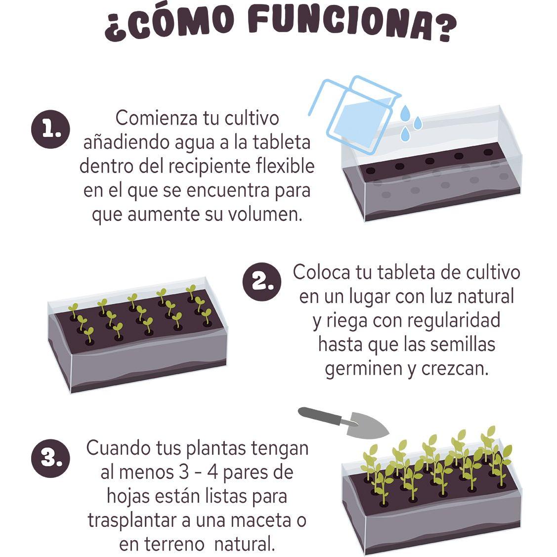 Tableta para Cultivar Fresas Rojas Ideal Regalo, Garden Pocket