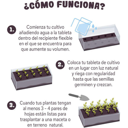 Tableta para Cultivar Fresas Rojas Ideal Regalo, Garden Pocket