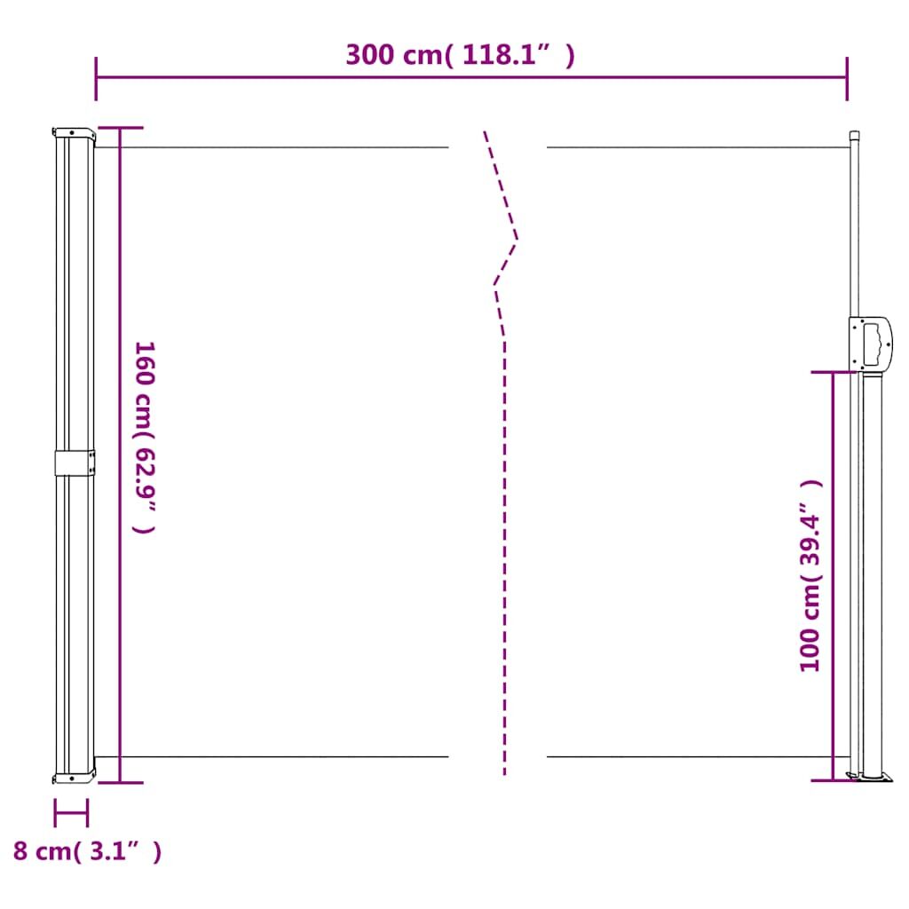 Vidaxl Toldo Lateral Retráctil Antracita 160x300 Cm_2