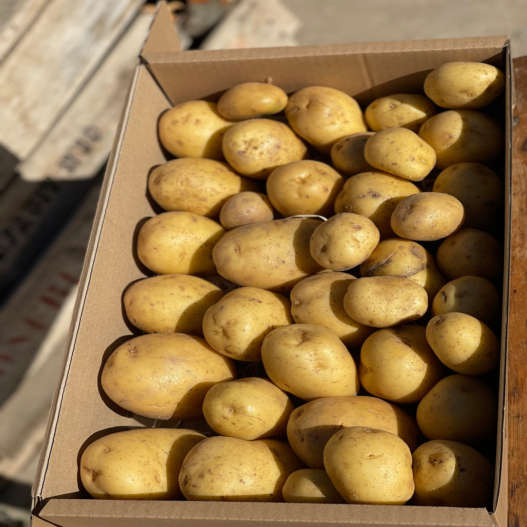 Caja de Patatas Blancas Spunta 9KG_0