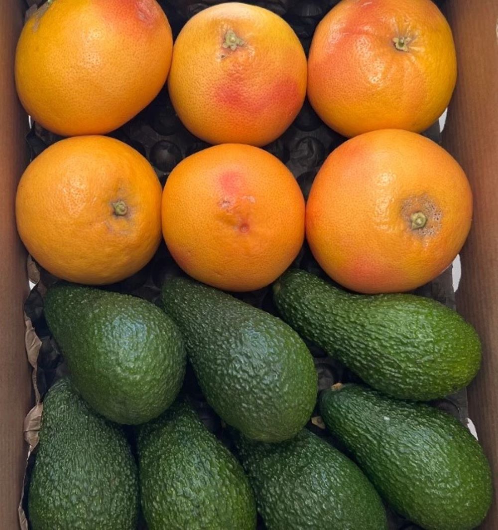 Mix Aguacates Hass Y Pomelos Rojos De Temporada Tropitop 4kg_3