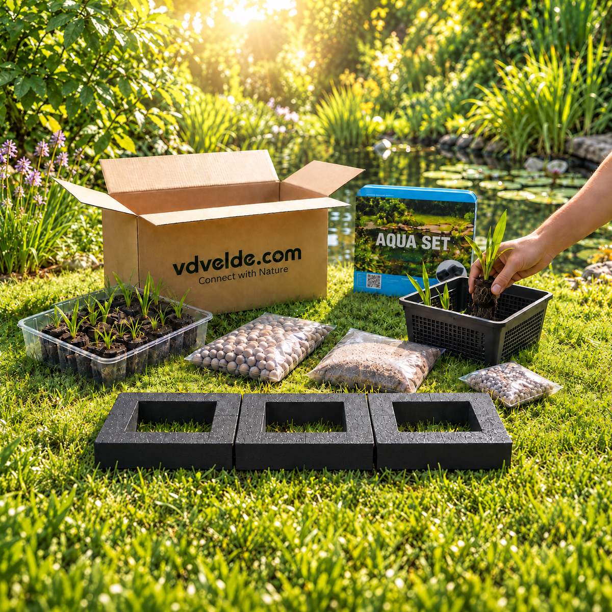 Set Isla De Plantas Estanque 3 Piezas - Sistema Completo 12 Plantas_3