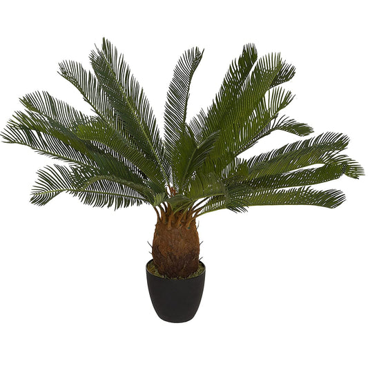 Planta De Piña Altura 93_0