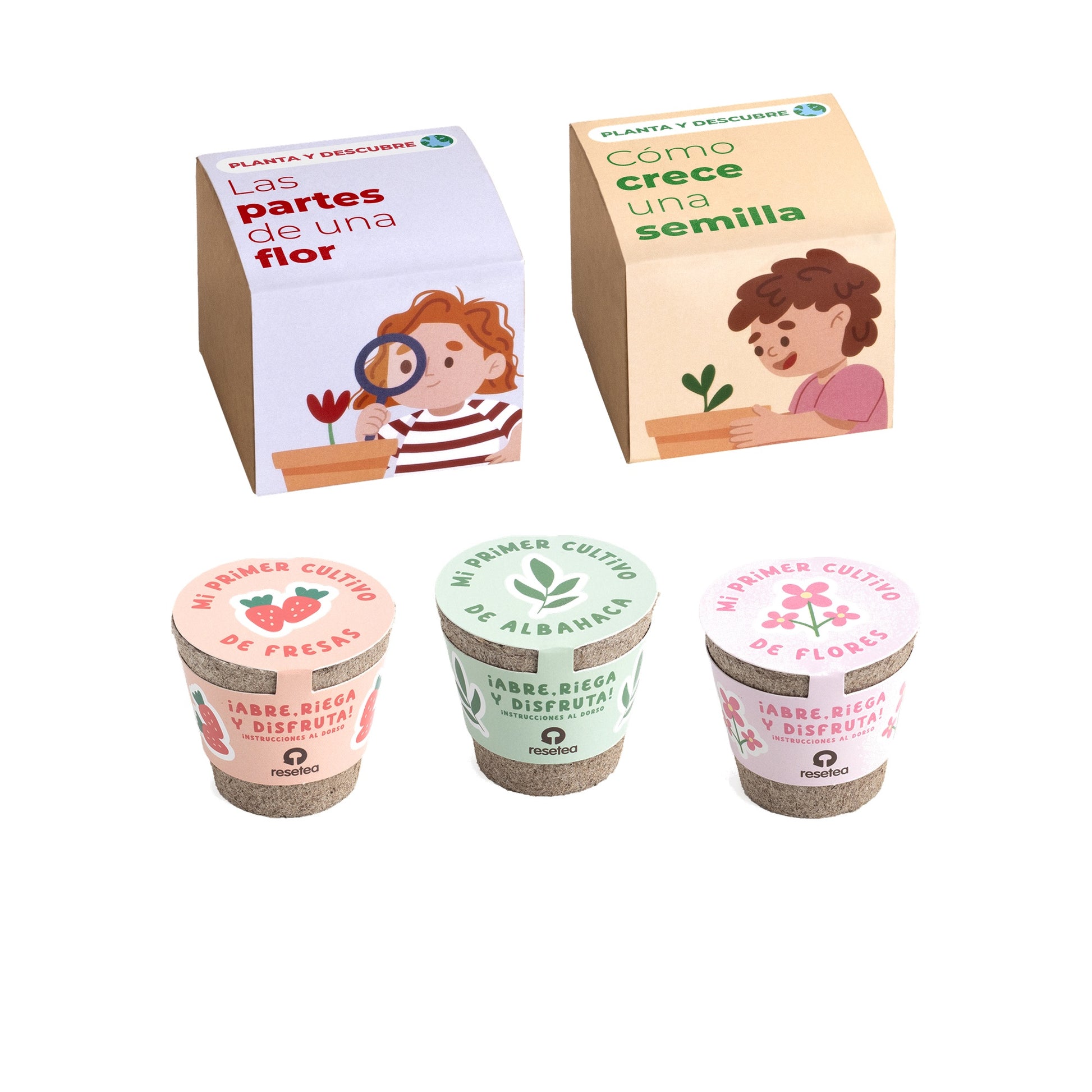 Pack 5 Kits De Cultivo Educativos | Stem Y Montessori | Regalo Didáctico Para Niños - Resetea_0