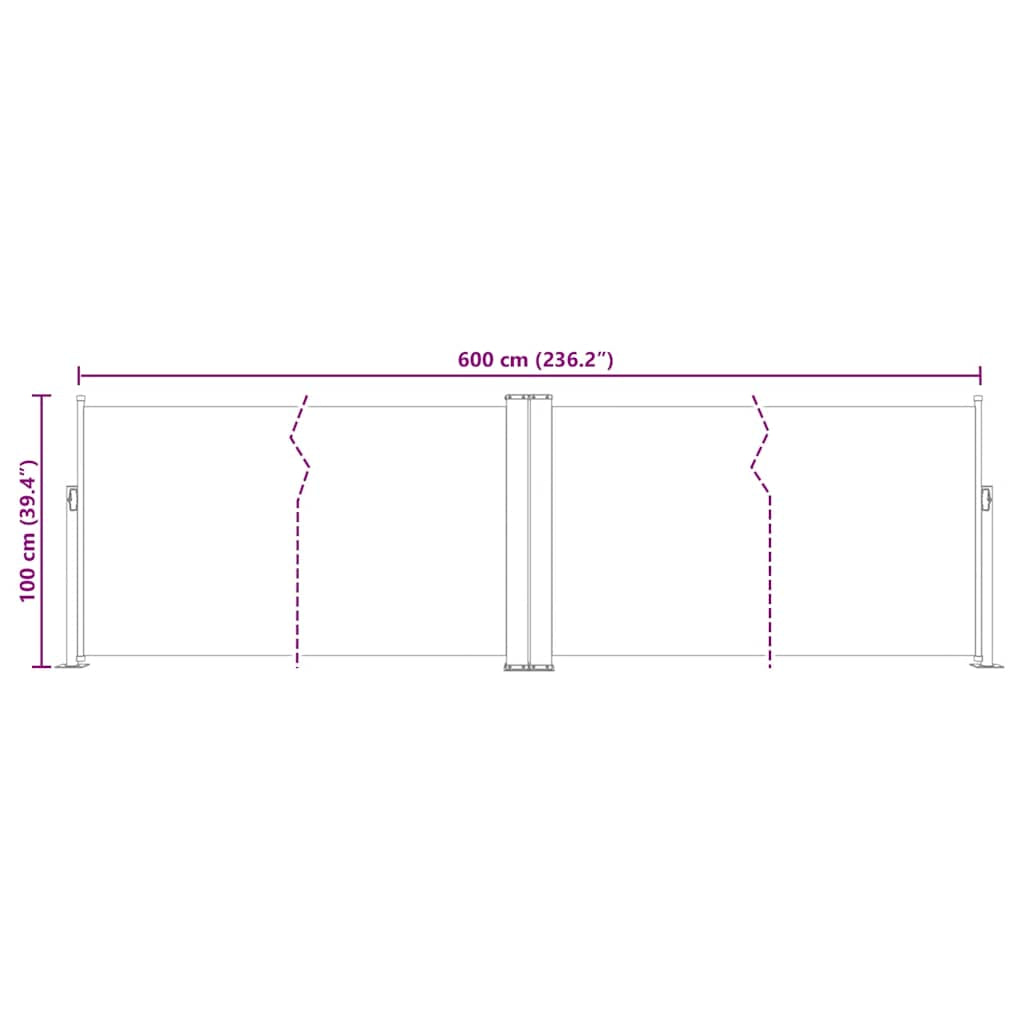 Vidaxl Toldo Lateral Retráctil Gris Antracita 100x600 Cm_2